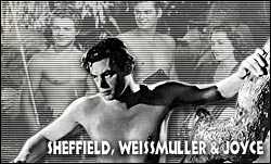 Sheffield, Weissmuller & Joyce